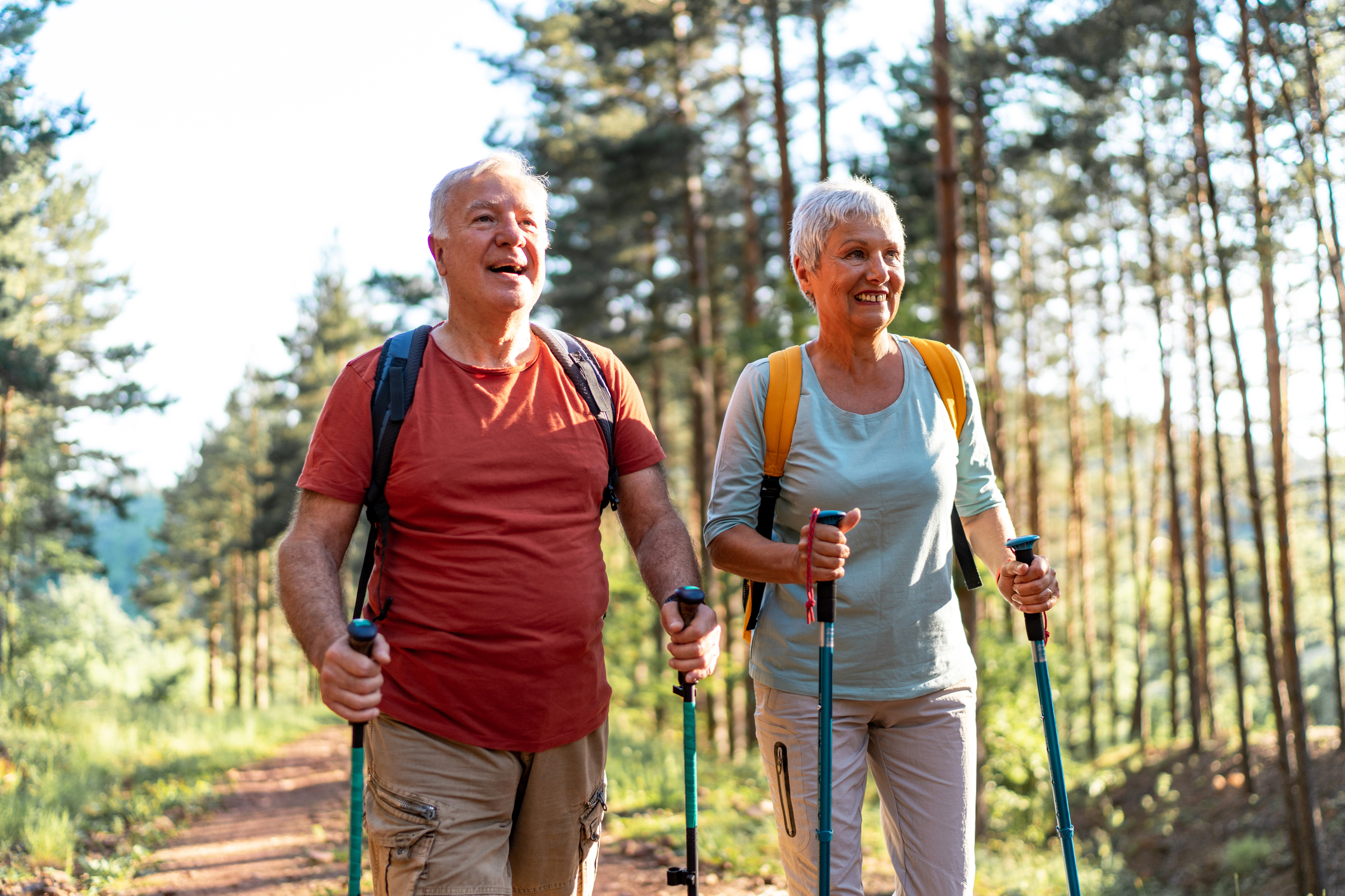 Senior hikers enjoying walk in the forest