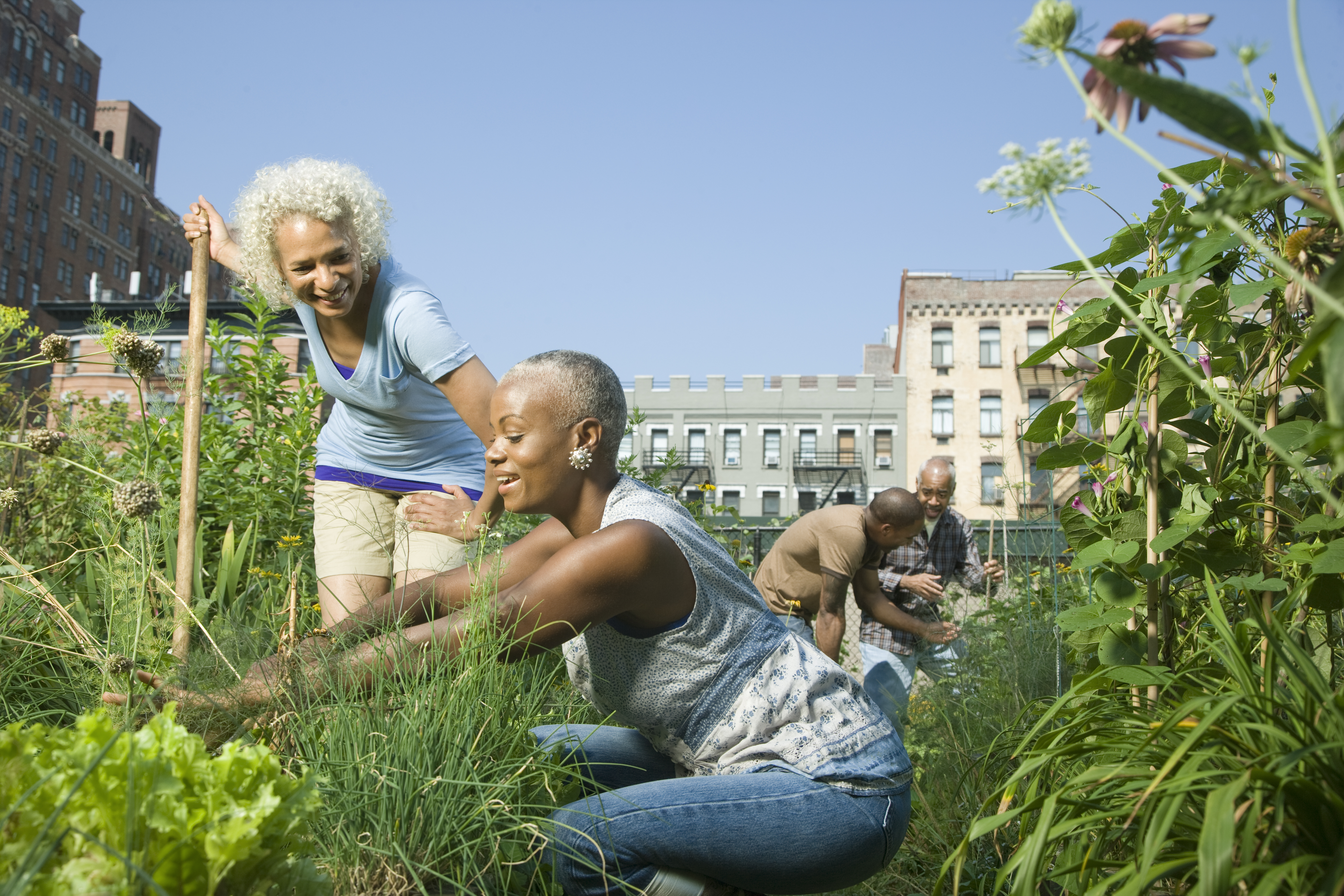 Women working in a community garden