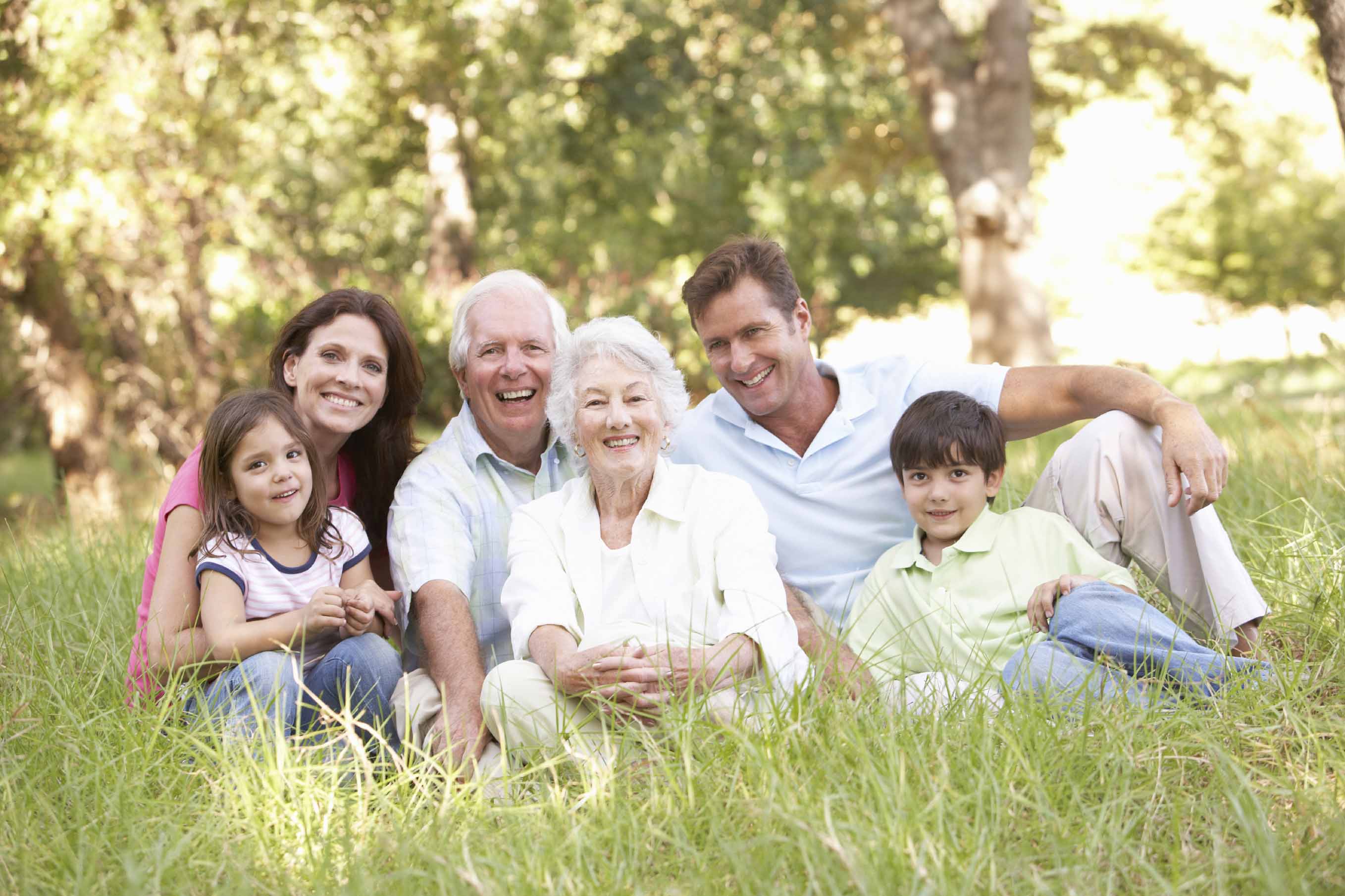 Portrait Of Extended Family Group In Park