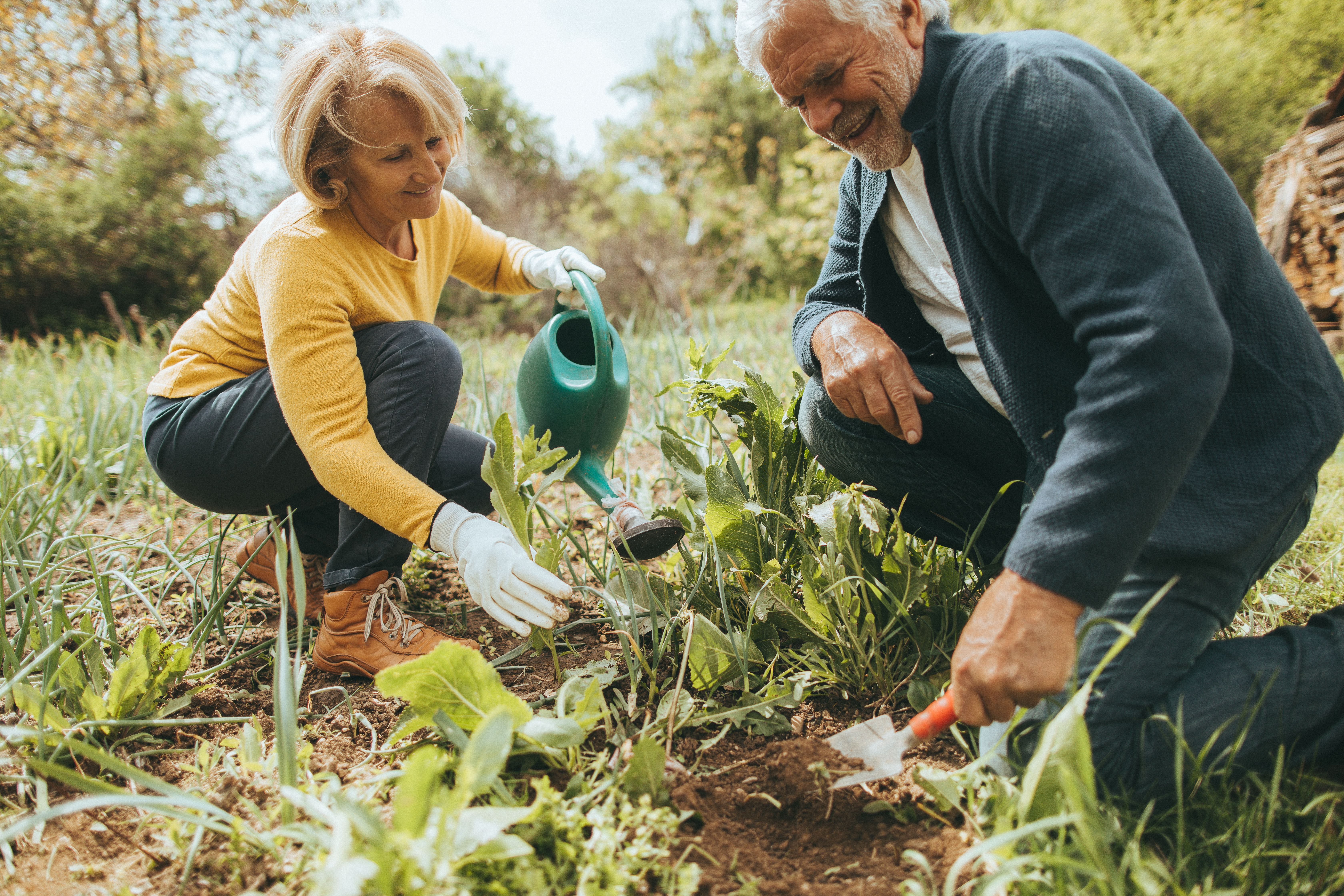 Gardening together