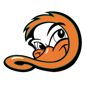 ducks logo2