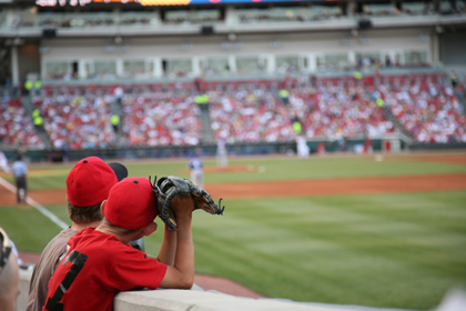 localaarp baseball