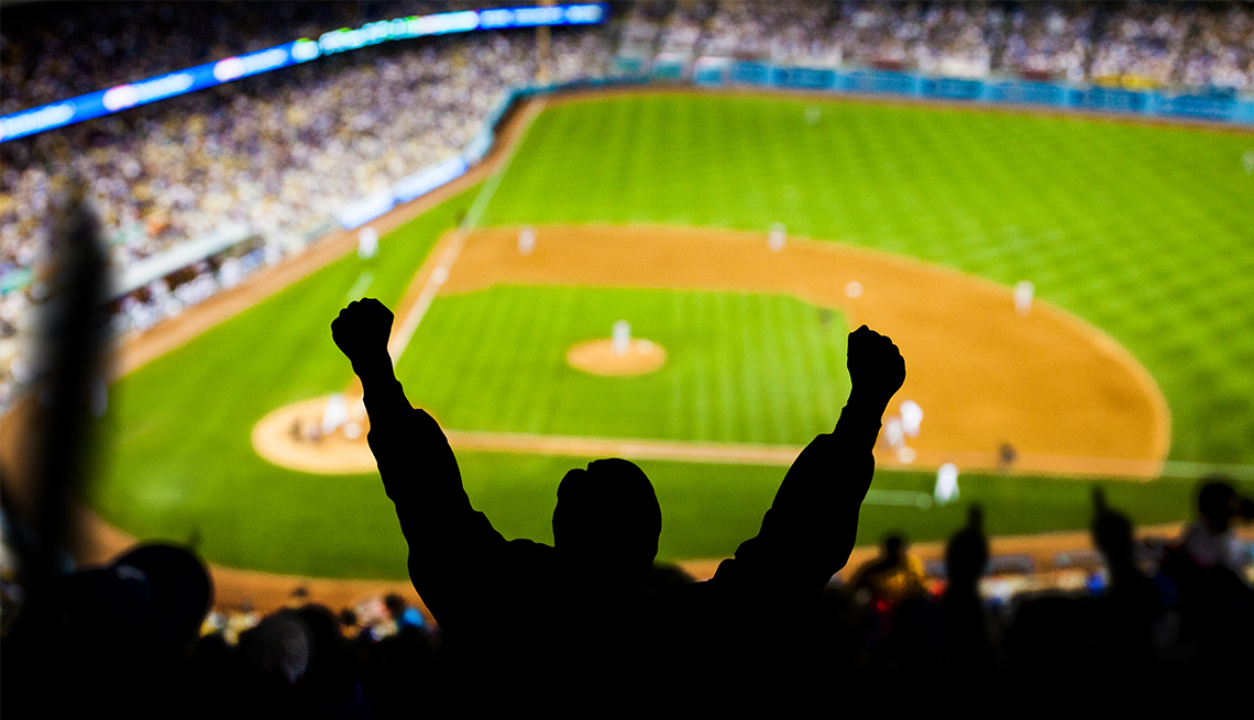 Baseball Excitement