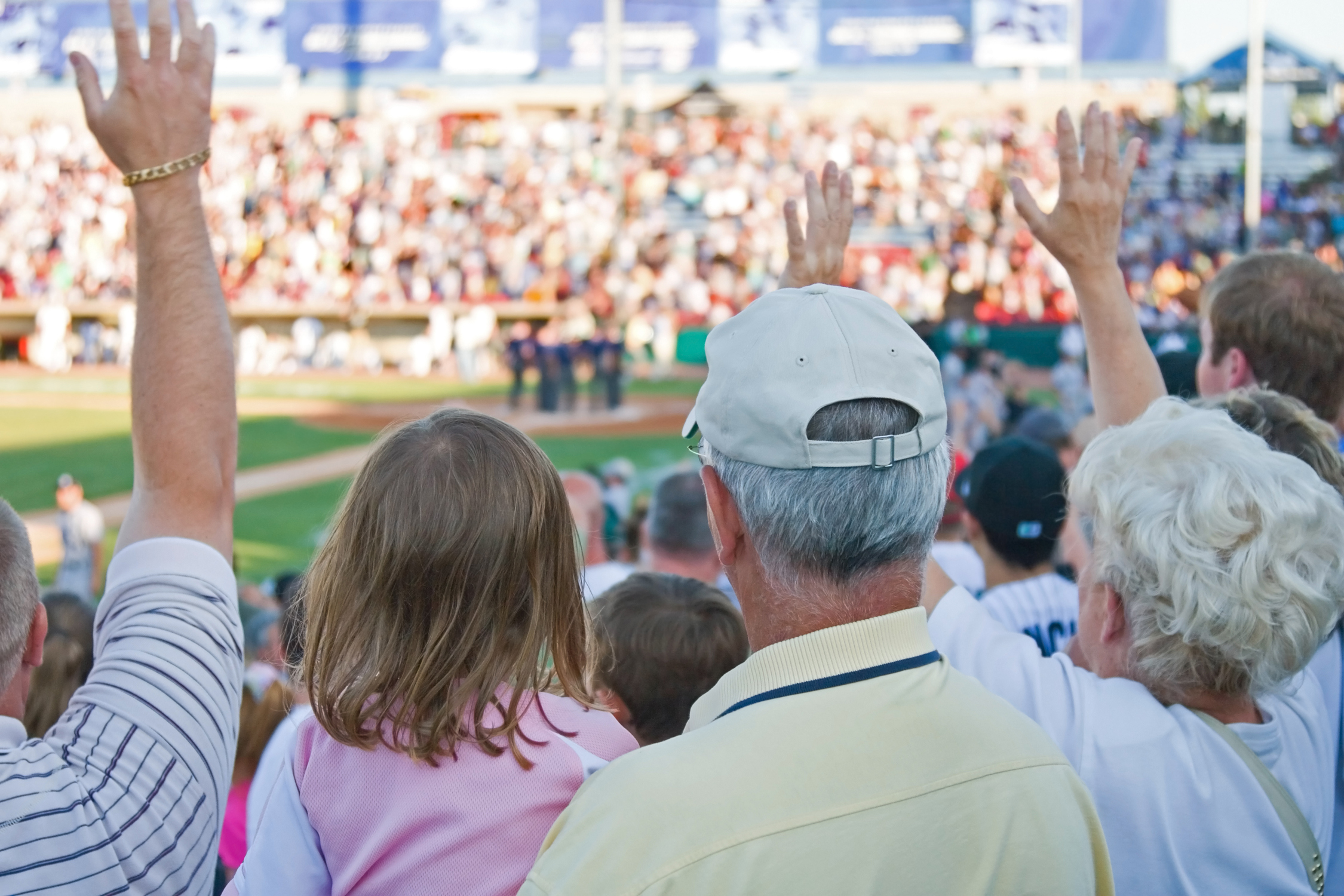 Baseball Fans