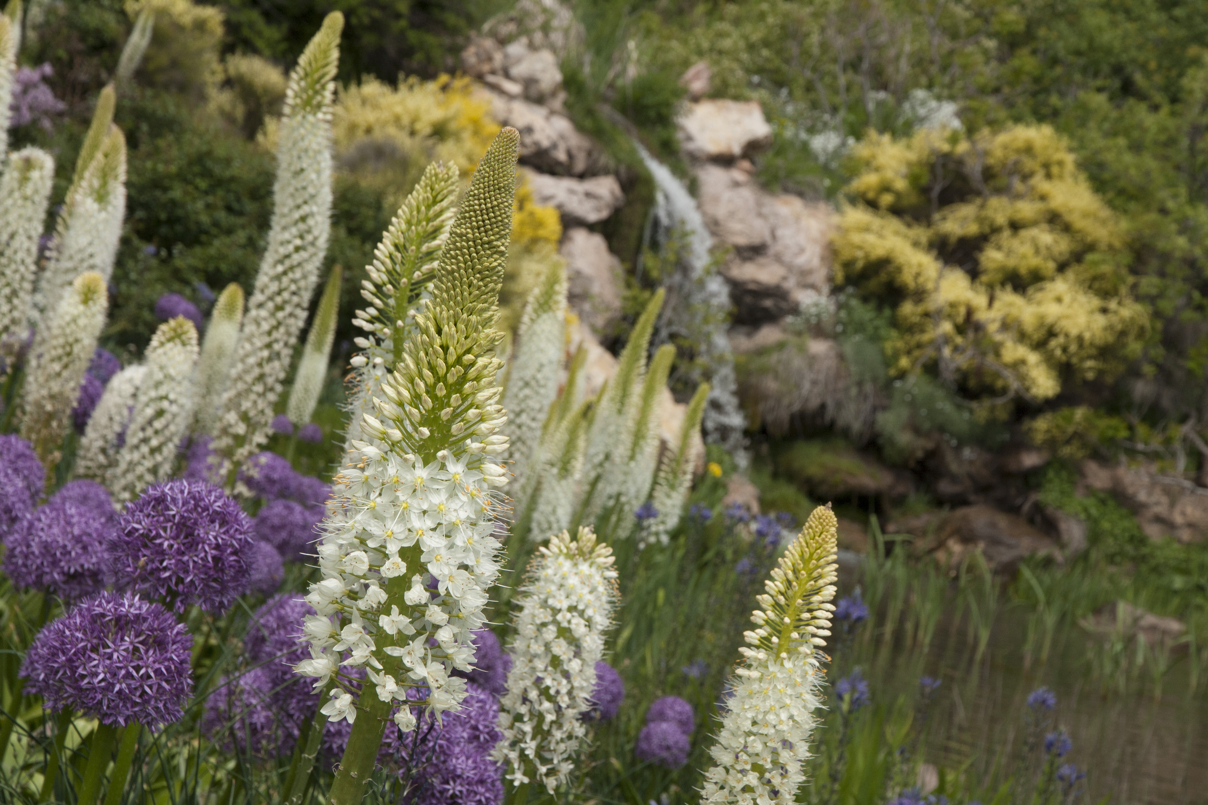 Red Butte Garden photo