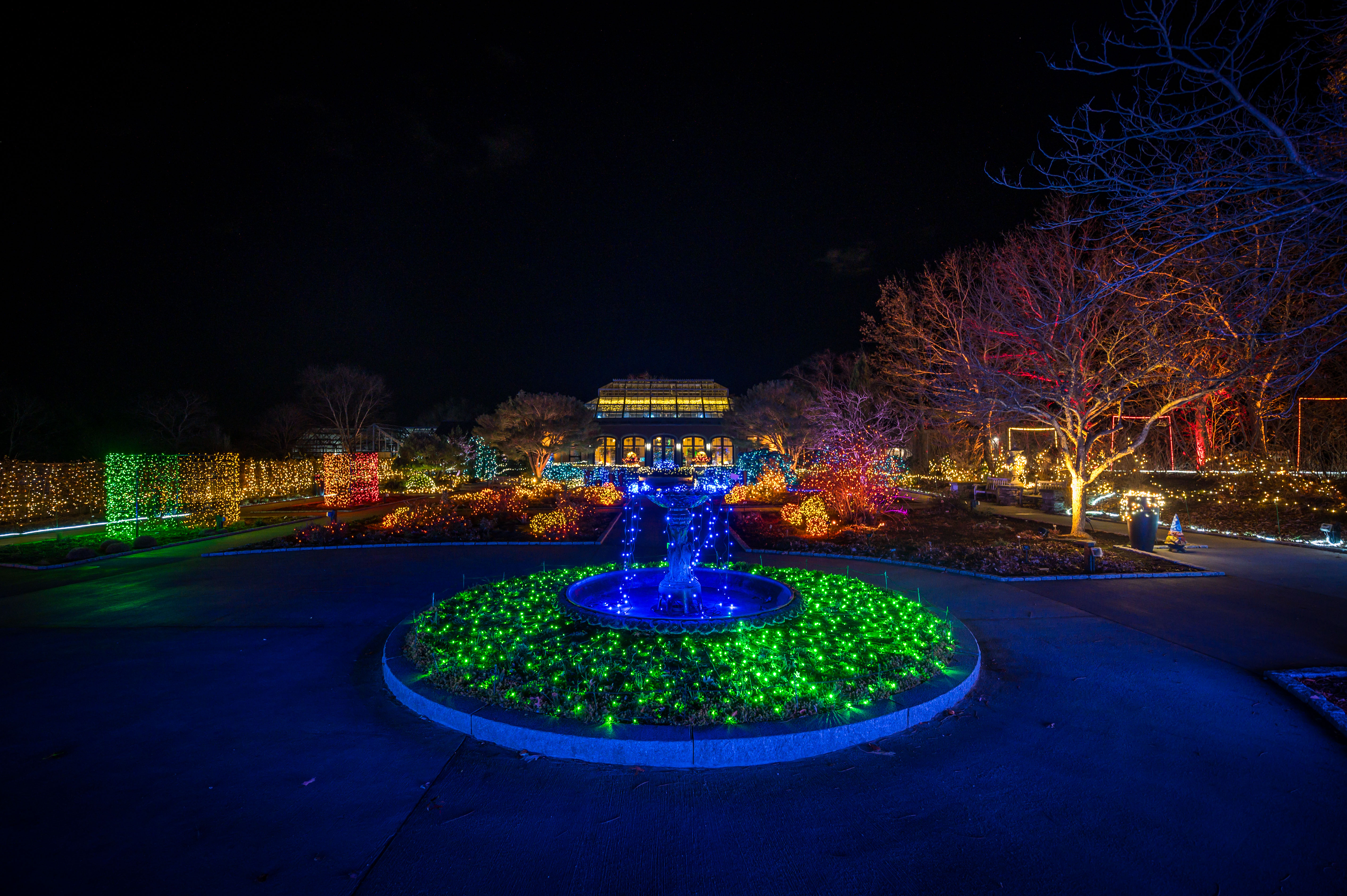 NEBG Night Light Pic.jpg