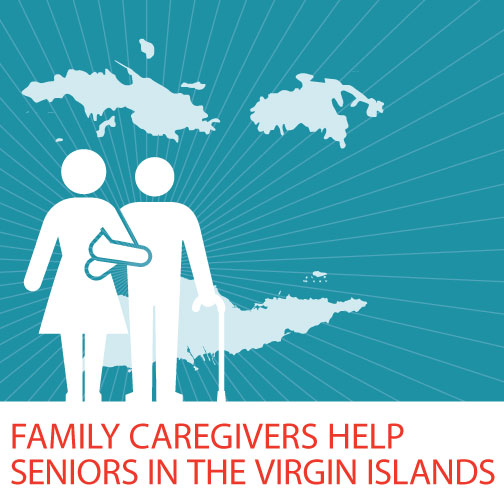 V.I. Caregiving Survey