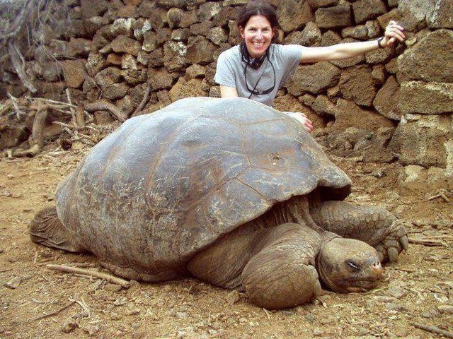 Galapagos: Where the wild things are