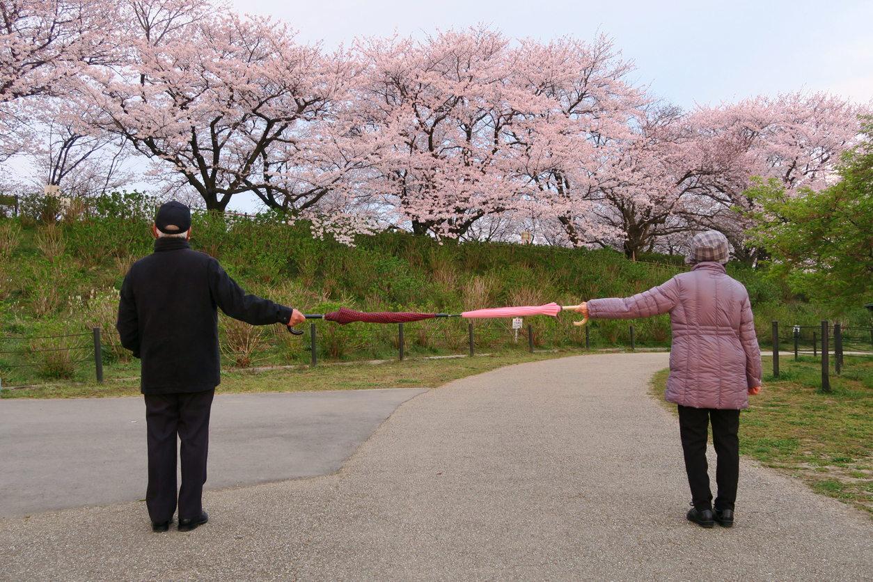 iStock-Picturesque Japan.png