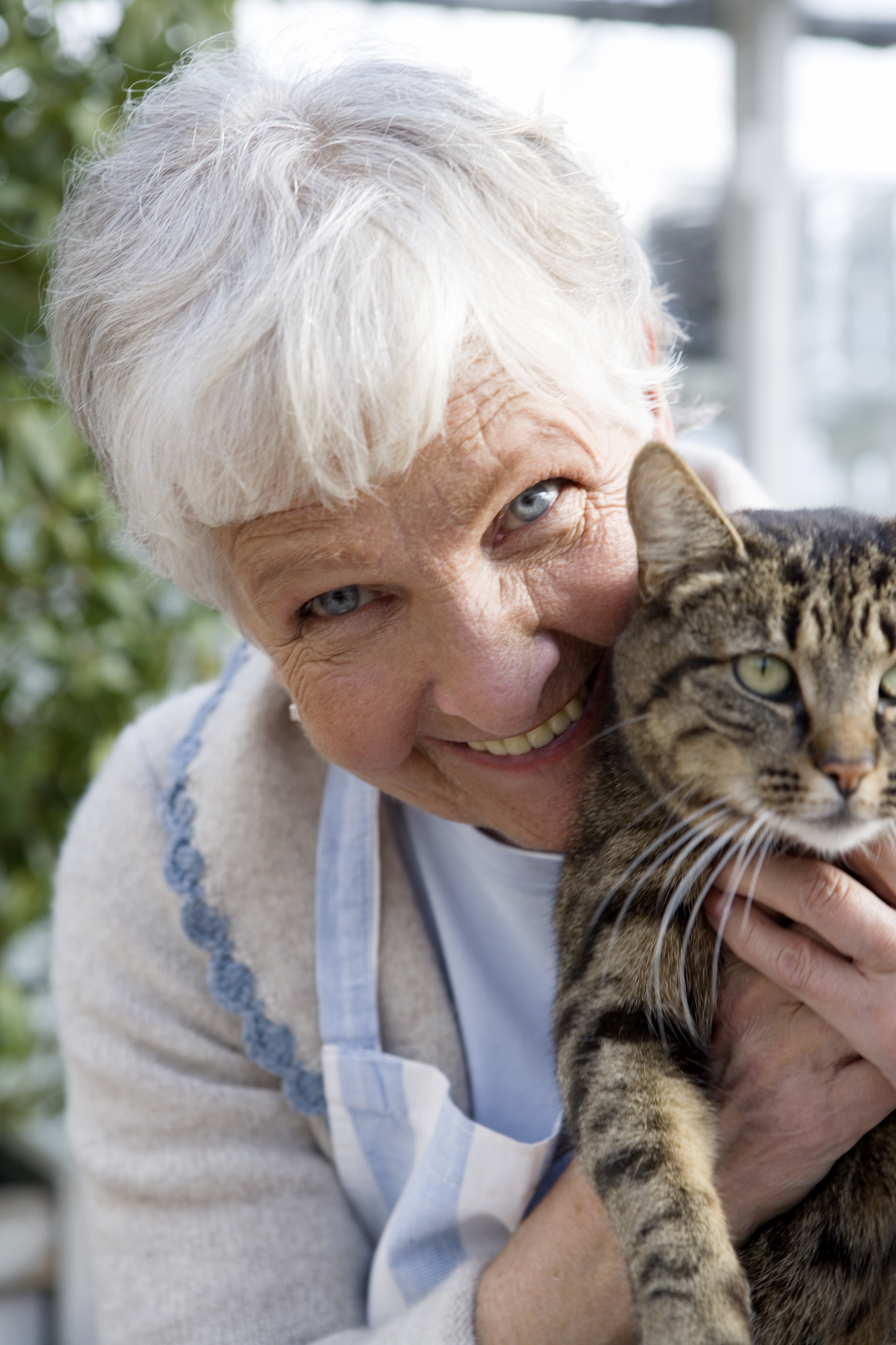 An elderly Scandinavian woman and a cat Sweden.