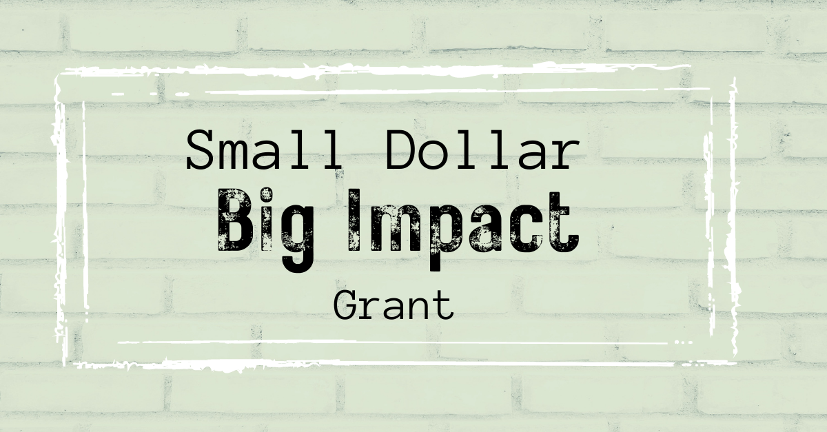 Small Dollar, Big Impact Grant: make a remarkable impact on your community