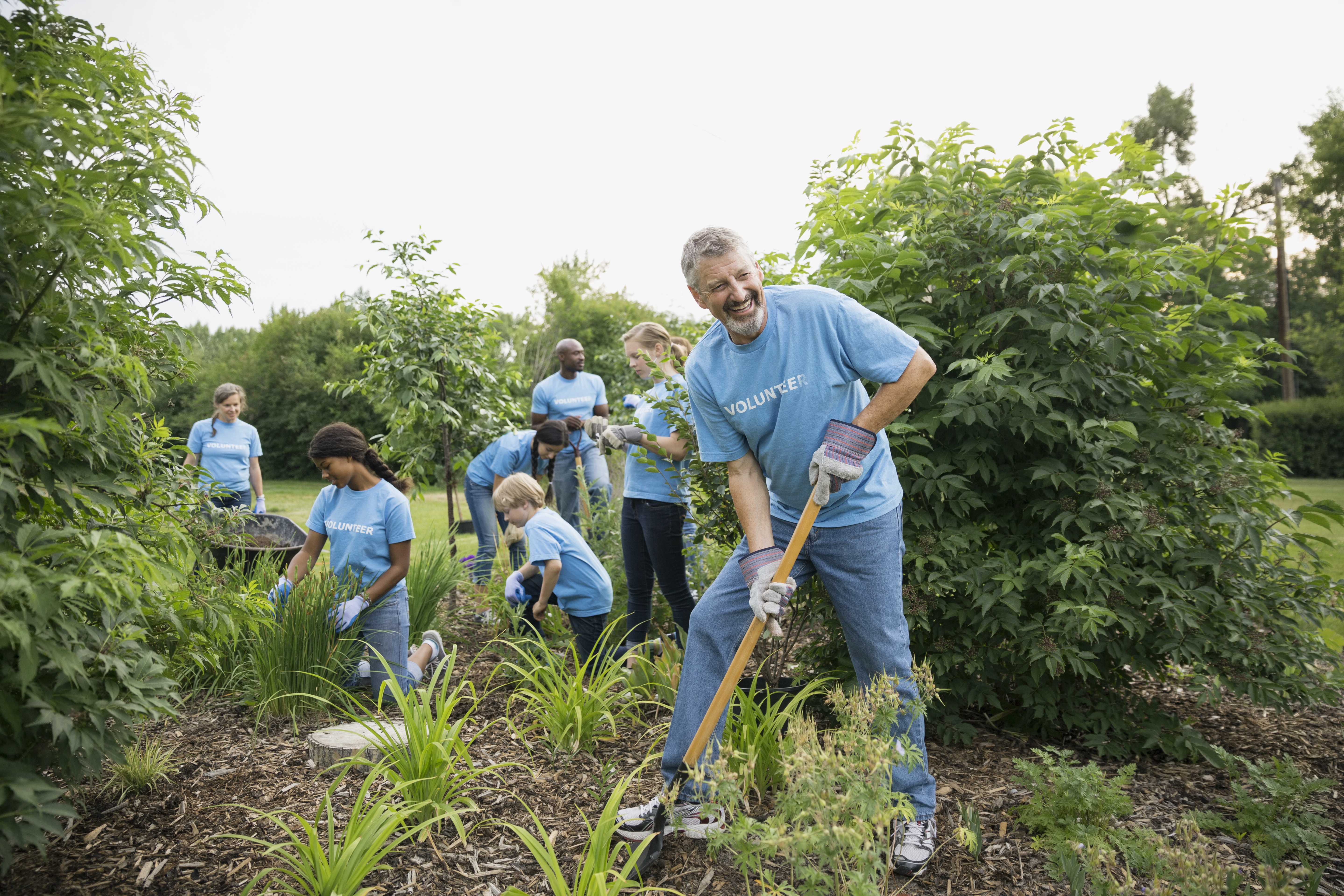 Volunteers