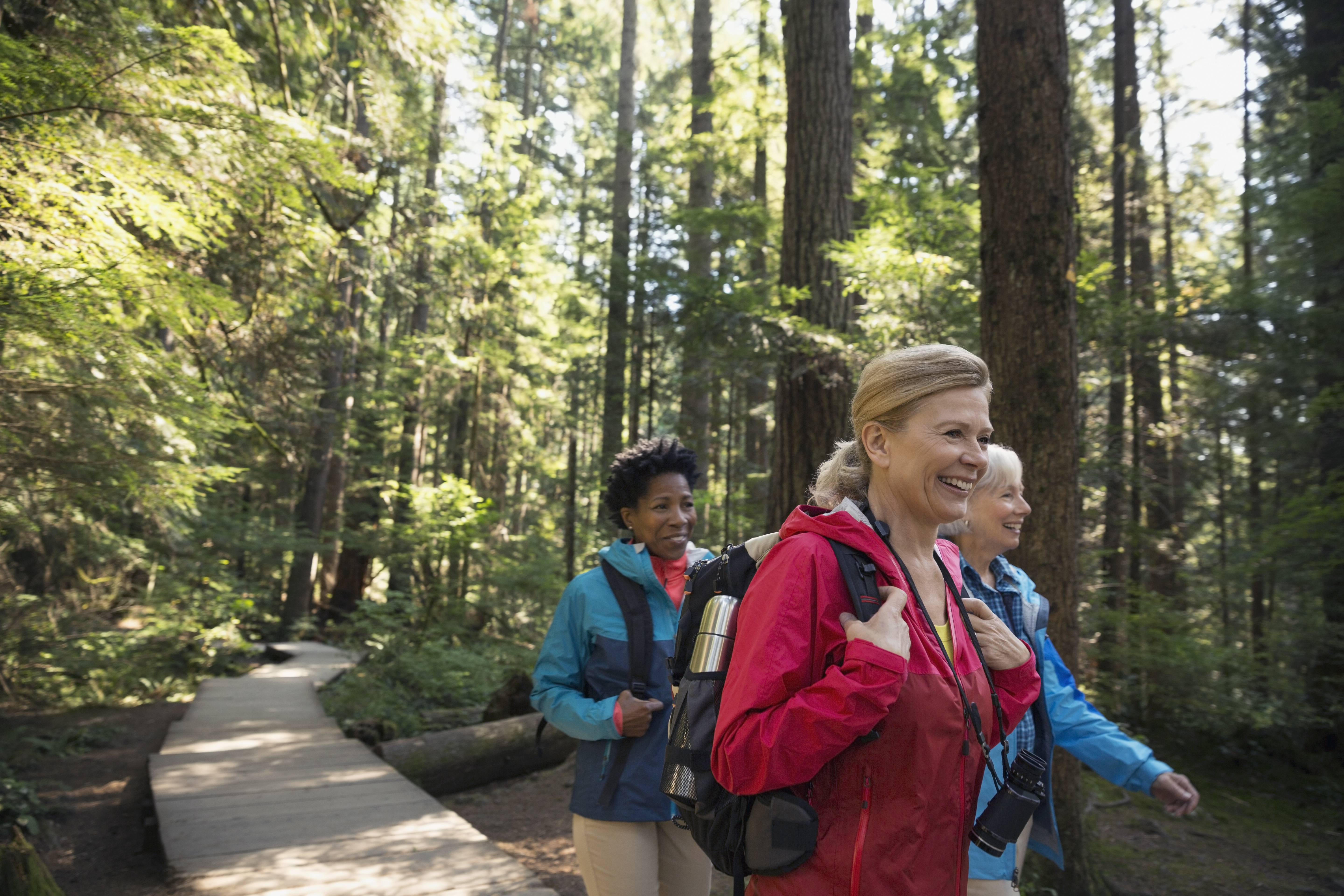Women hiking on footbridge below trees in woods