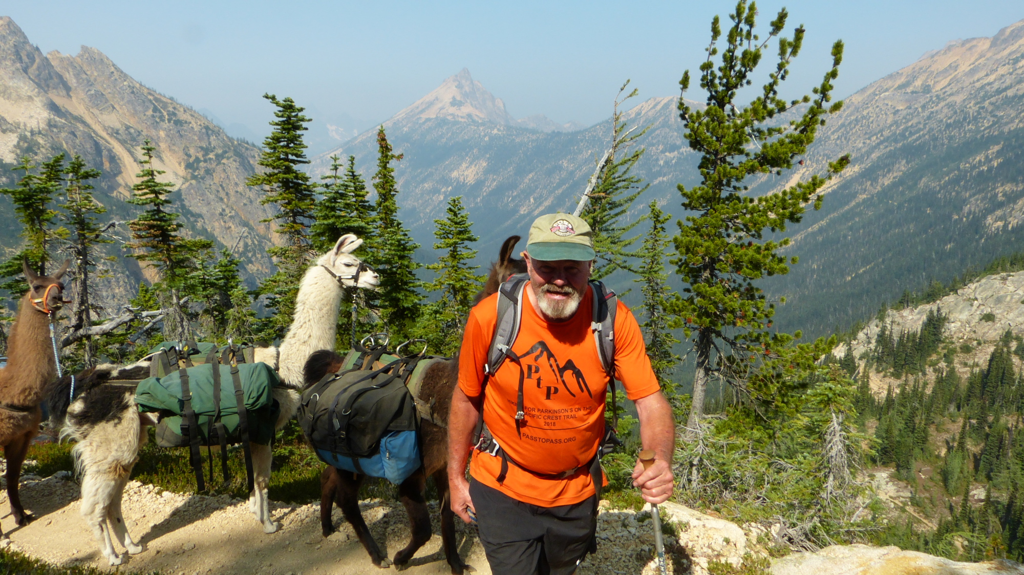 Bill Meyer - Pass to Pass.jpg