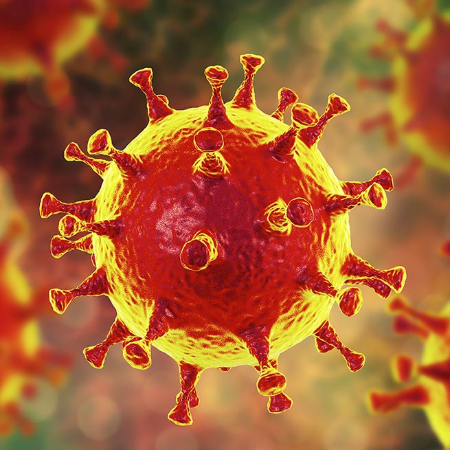 coronavirus.jpg