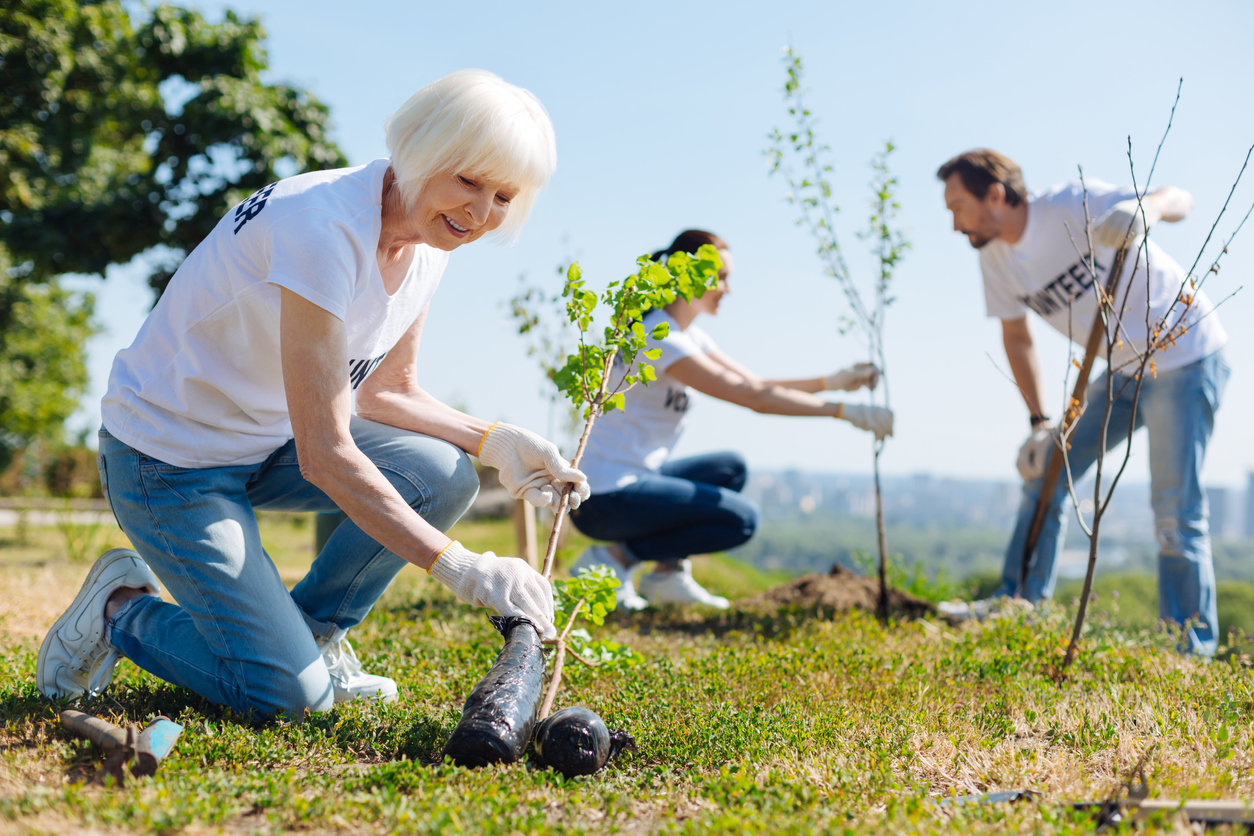 Incredible team of people expanding the boundaries of local park