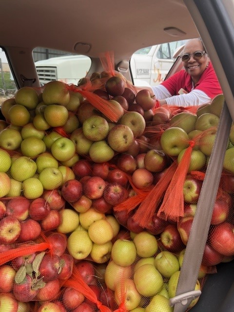 volunteer-elsie-flood-blue-ridge-apples.jpg