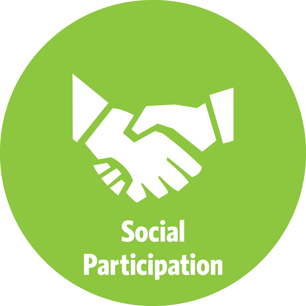 AARP_CA_AgeFriendly_SocialParticipation