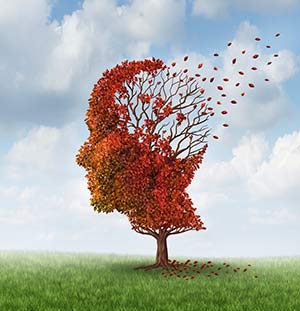 300-iStock_000027111436Large