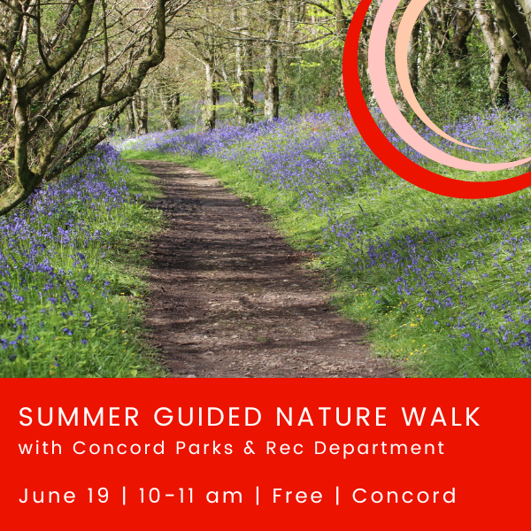 Summer Guided Nature Walk Concord 6.19.25.png