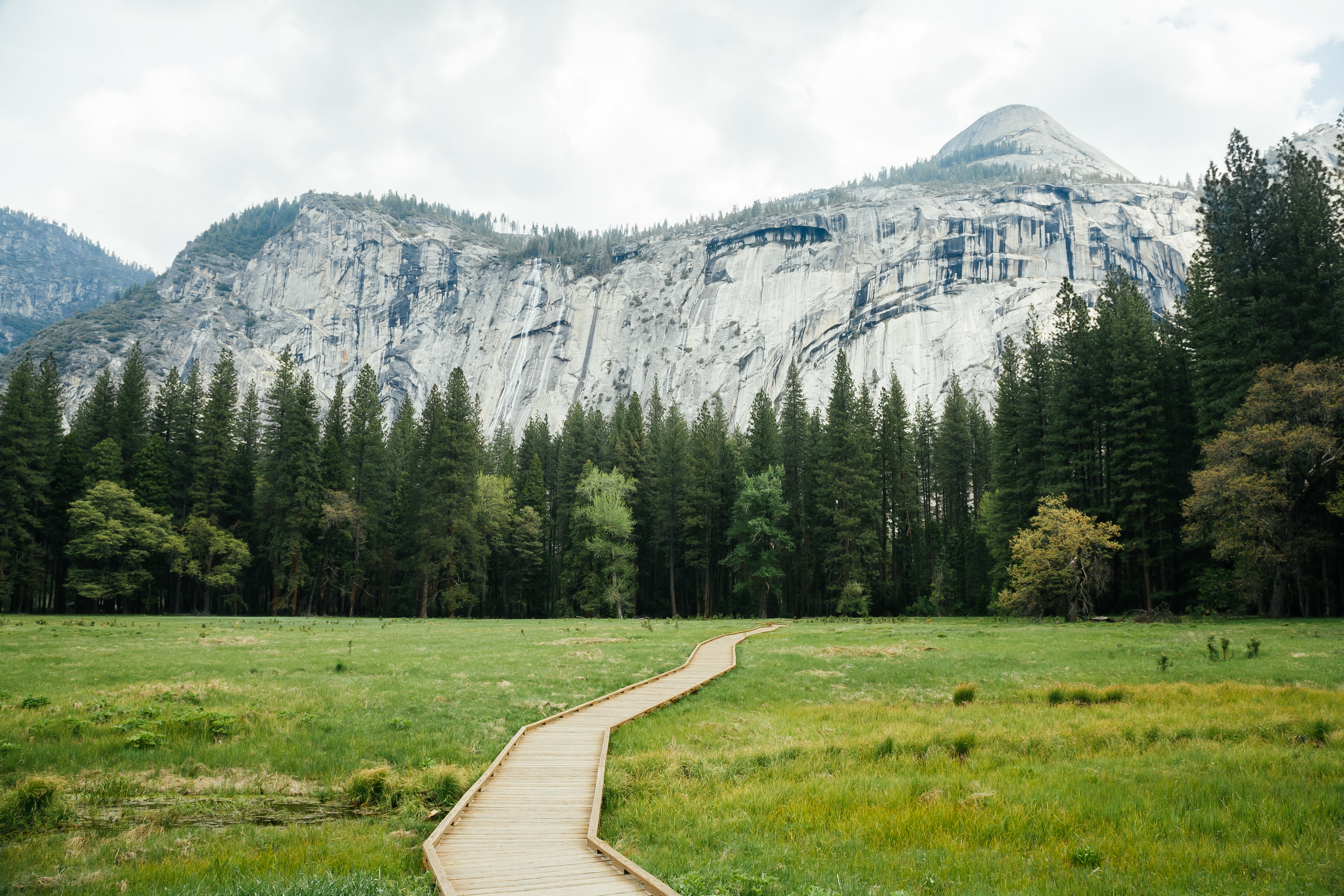 Wooden path in Yosemite valley, California, USA