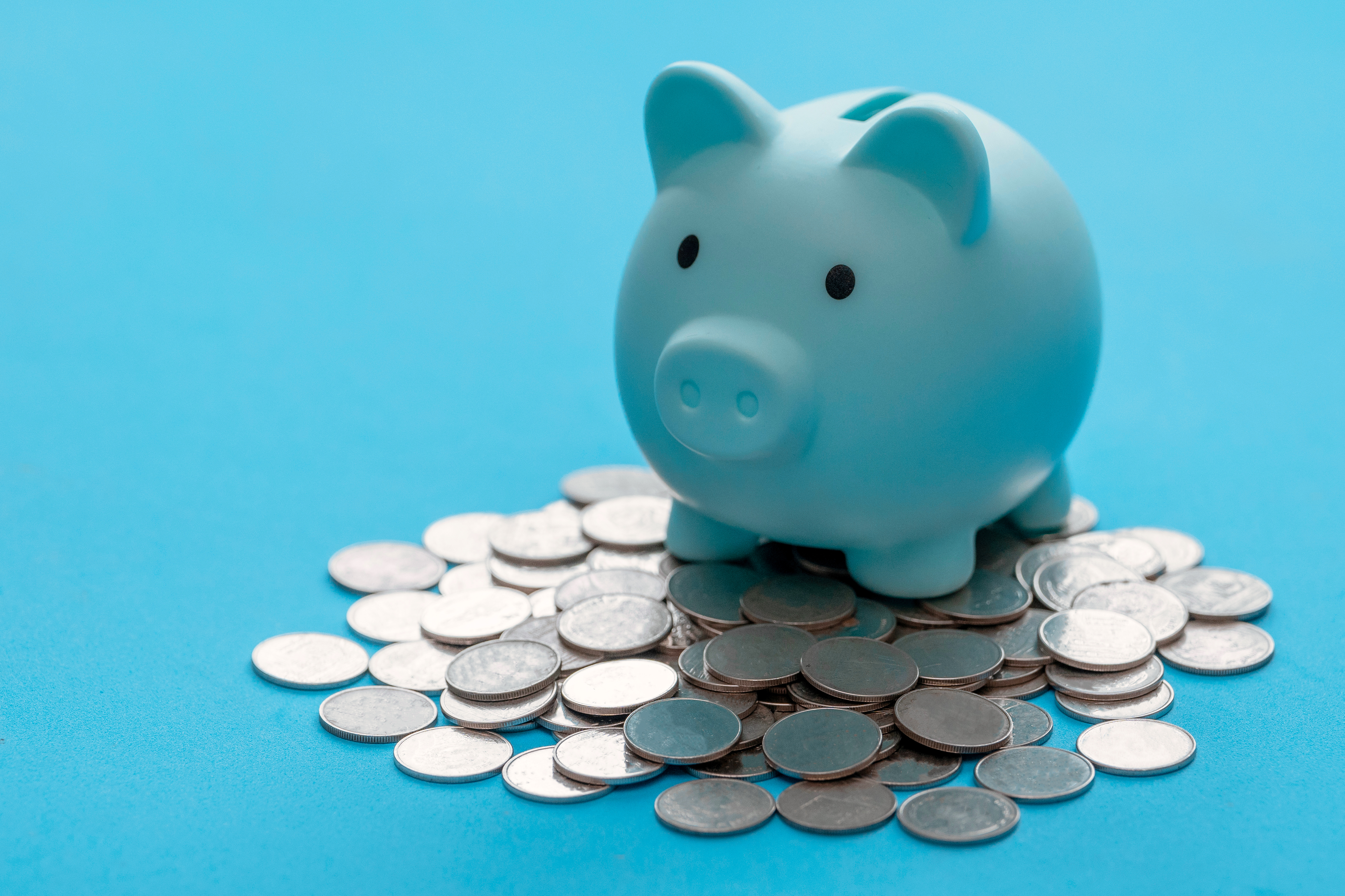 Piggy bank and coin on light blue background for money savings. Earning interest on savings. Growing your wealth and saving money concept