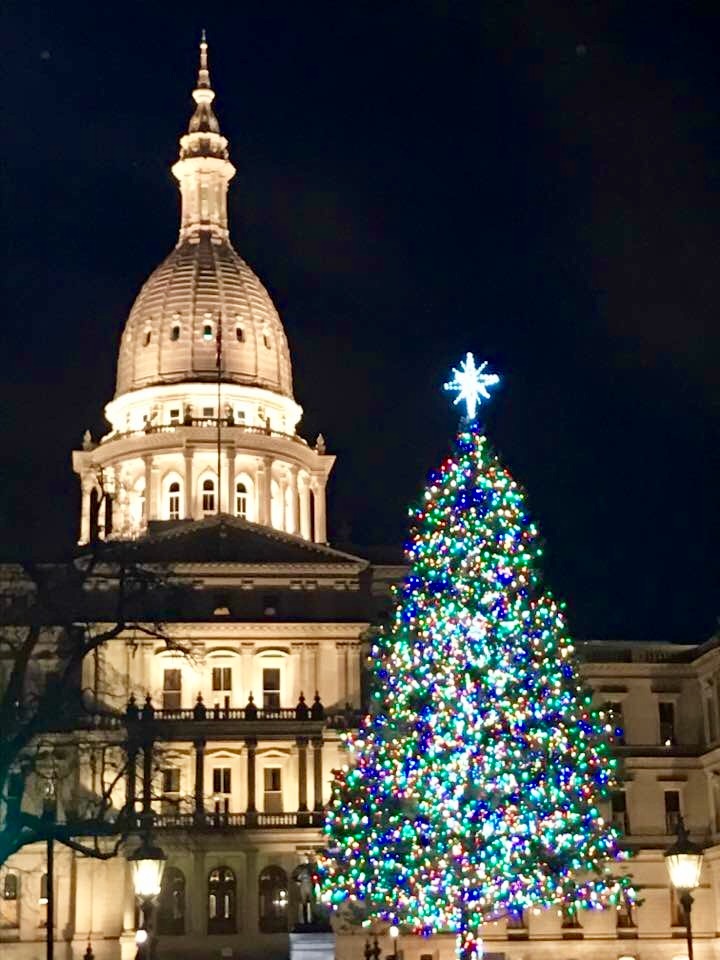 capitol-christmas-tree