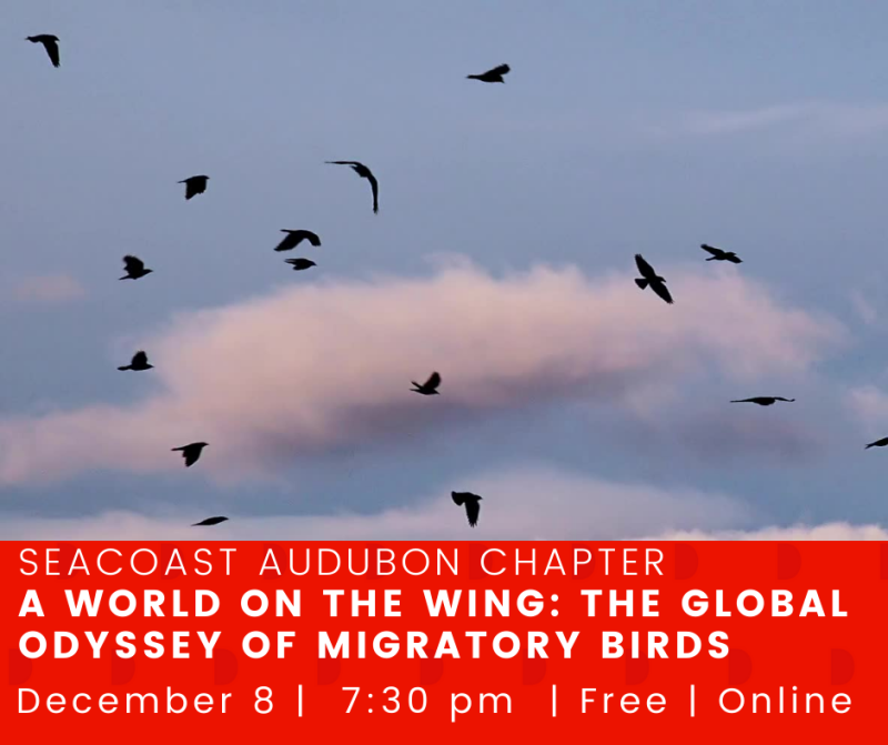 A World on the Wing - Dec 8.png