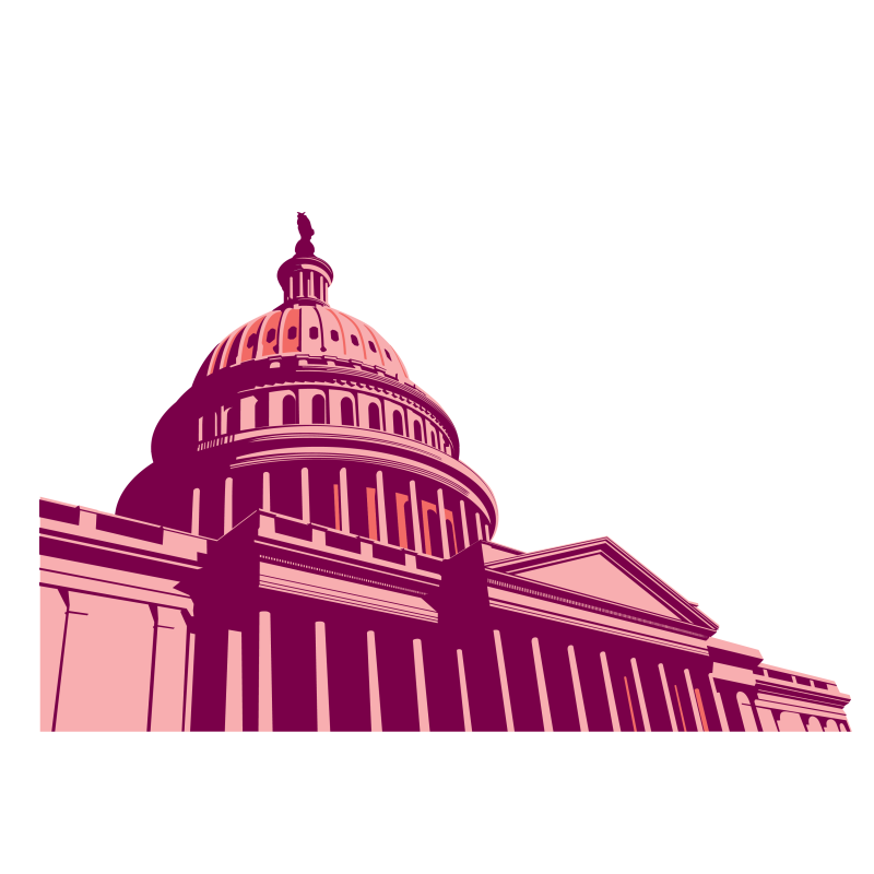 Advocacy_Capitol Building.png