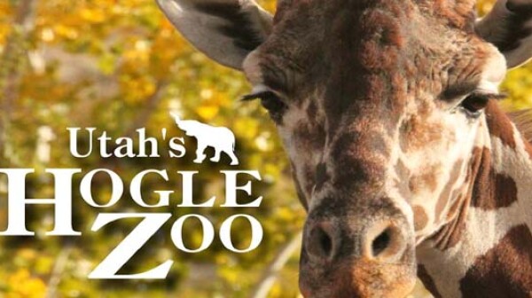 hogle-zoo1