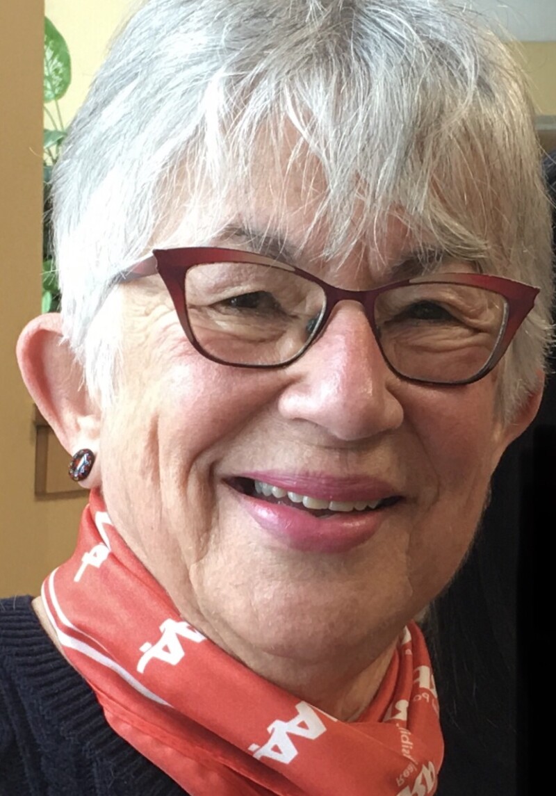 Pat Pinto, Volunteer State President