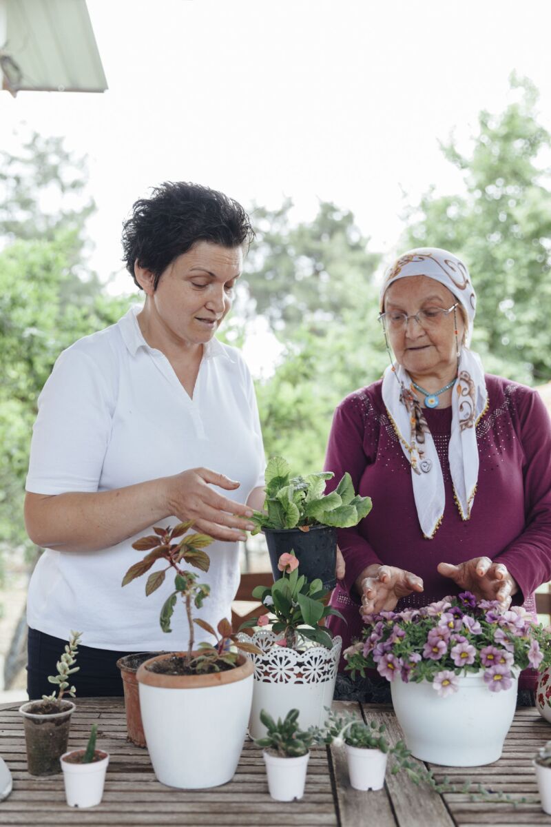 gardening image.jpg