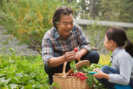 Fall gardening