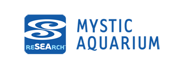 mysticlogo2