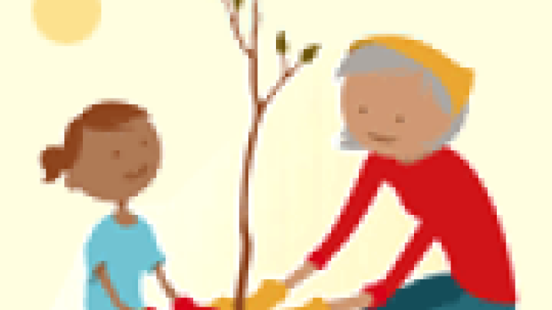 120-volunteer-wizard.imgcache.rev1354221389335.web.180.135