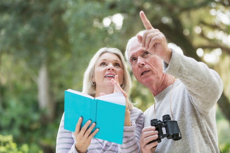 Audubon bird watching