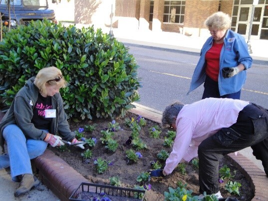beautification-flower-planting.jpg