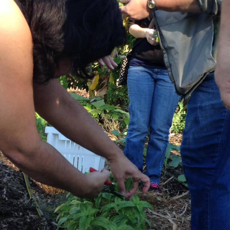 gardening 1