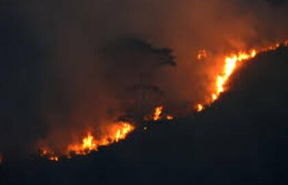 As Fire Season Heats Up, AARP Works with Oregon Residents to Prepare and Protect Homes and Lives