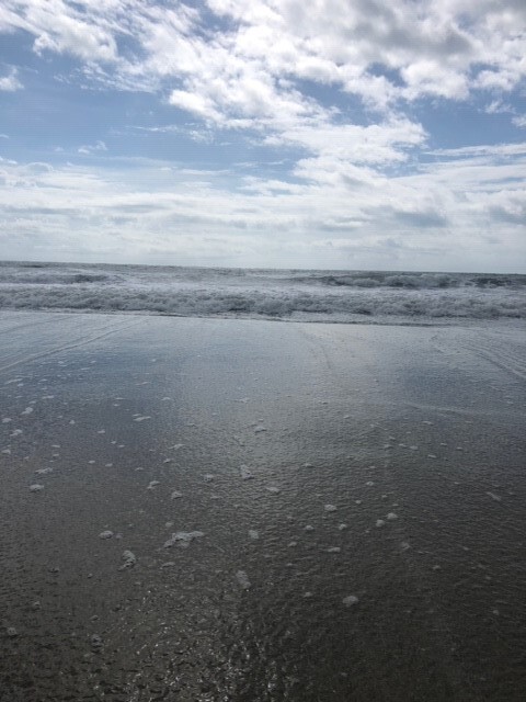 beach.jpg