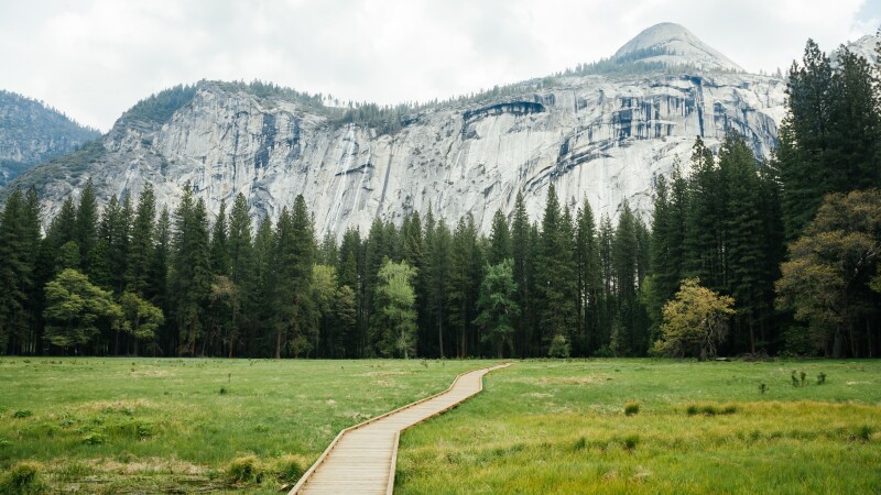 Wooden path in Yosemite valley, California, USA