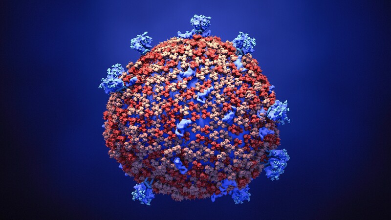 Illustration of a coronavirus particle.