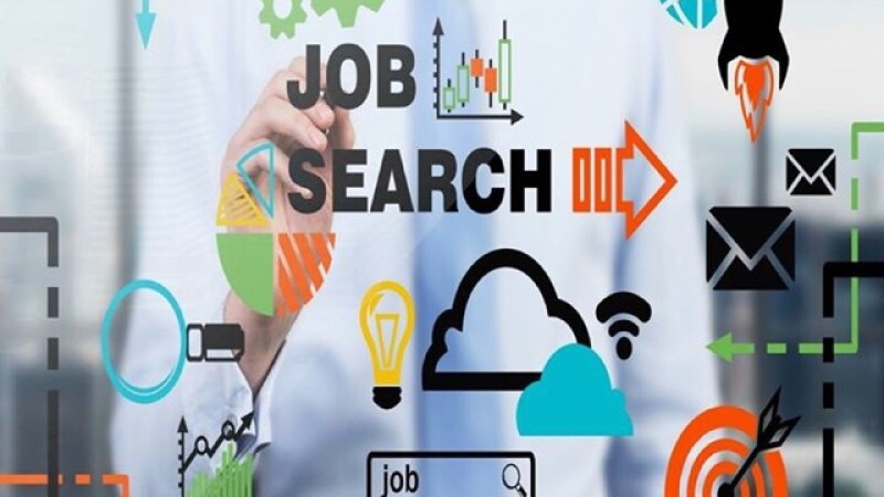 job search