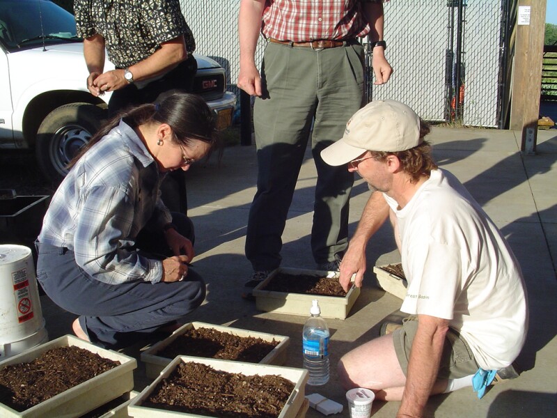Discover ways to begin planting and have a garden you love!