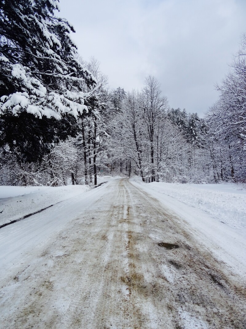 Winter landscape