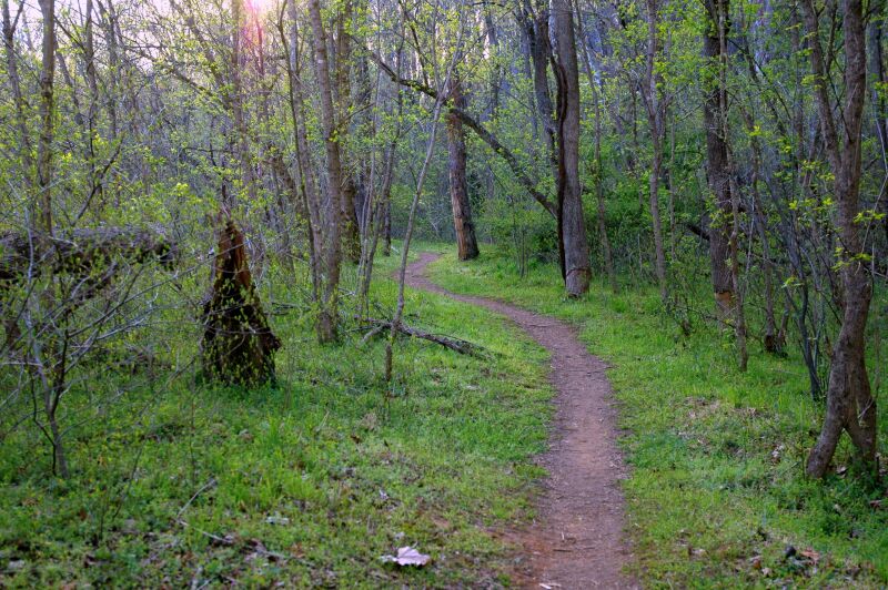 L.burg trail.jpg