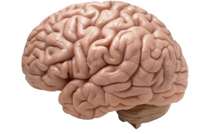 AARP Wyoming’s Baier To Present On Brain Health During POWW