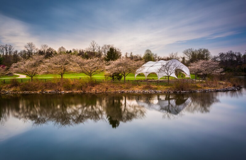 Long exposure of Centennial Lake, at Centennial Park in Columbia