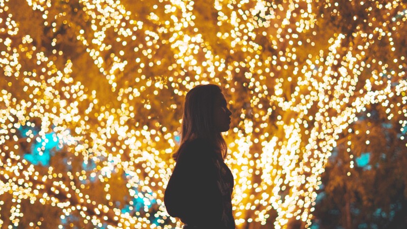 View Of Woman Standing By Illuminated Tree