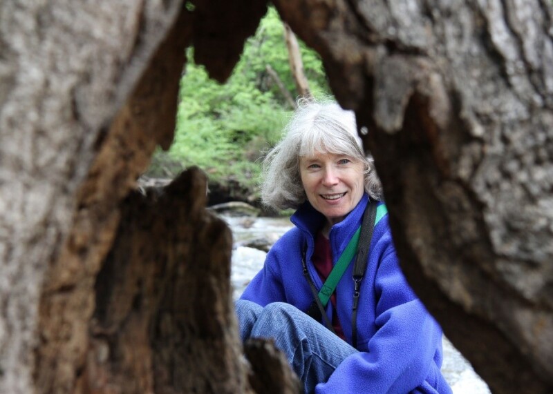 Carole Herman.jpg